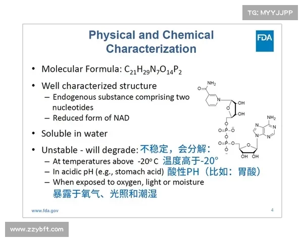 英雄联盟S赛官方商店全新上线畅享限量商品与独家福利体验